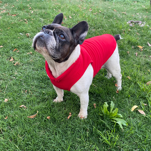 Abrigo Polar Ropa Cómoda Y Cálida Para Mascotas De Invierno©