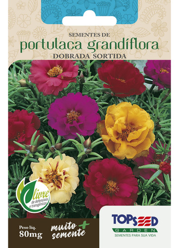 Kit 4x Sementes De Onze Horas 80mg Sortida Dobrada Portulaca