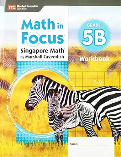 Libro:  Student Workbook B Grade 5 (math In Focus (sta))