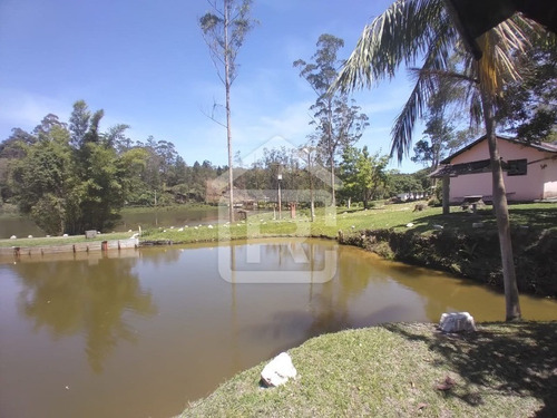 Imagem 23 de 30 de Lindo Sítio Em Juquitiba Com Imenso Lago, Piscina, Nascentes - 92 - 70323419
