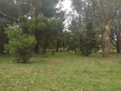 Excelente Lote En San Jacinto Id
