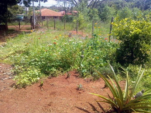 Chácara A Venda No Bairro Jardim Gramado - 2000m² - 1340