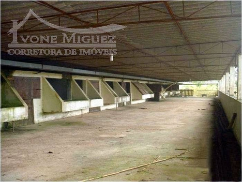 Imagem 8 de 15 de Fazenda Em Centro - Miguel Pereira - 1112