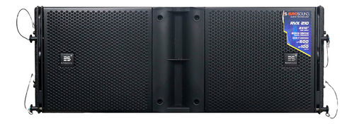 Bafle Line Array Pasivo Rvx210 Eurosound Bocinas 2x10 Color Negro