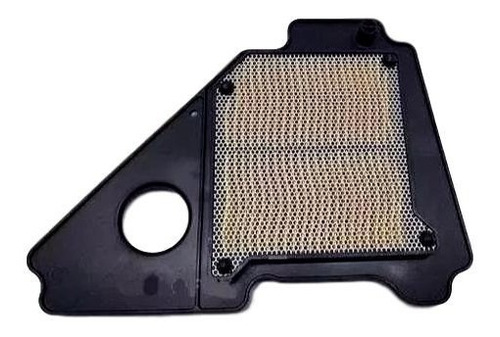 Elemento Filtro Aire  Yamaha Ybr125