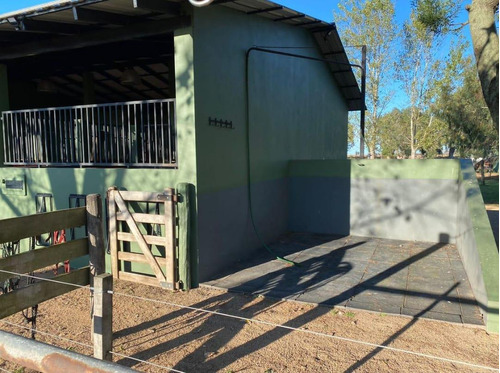 Imagen 12 de 26 de Quinte En Venta - 5 Dormitorios 3 Baños - 37ha Totales - Campo Funke