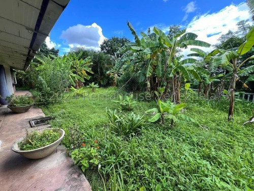 Finca Hacienda En Venta San Casimiro Aragua 25-2969 Wjo