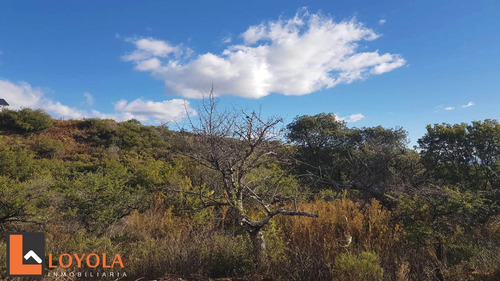 Imagen 20 de 30 de Carpintería, Lotes De 5000 M2