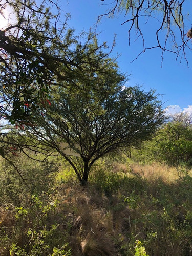 Imagen 4 de 14 de Lote 1840 M2 - Posesion / Quebrada De Los Pozos, Villa De Las Rosas - Traslasierra