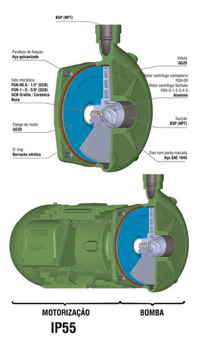 Motobomba Centrífuga Fgn-2 4cv Motor I P 55 Weg Trif Famac Cor Verde Fase elétrica Trifásica 220V/380V TRIFÁSICO