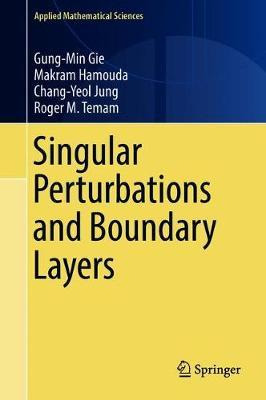 Libro Singular Perturbations And Boundary Layers - Gung-m...