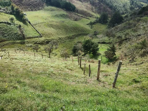 Finca En Guarne Ovejas