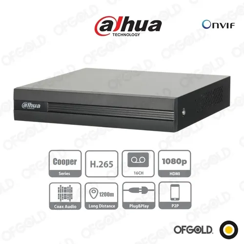 dahua audio out