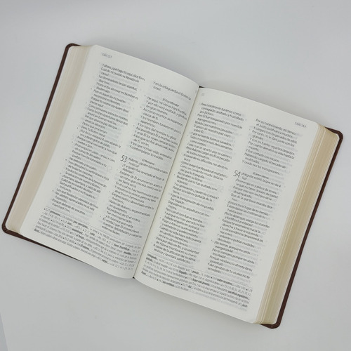 Imagen 5 de 7 de Biblia Textual Iv Edición Imit. Piel Marron