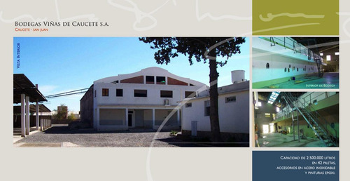 Bodega Viñas De Caucete S.a