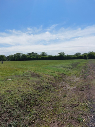 Imagen 17 de 30 de Terreno Lote En Venta Ubicado En Zelaya, Pilar, G.b.a. Zona Norte