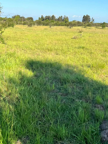 Se Vende Parcela De 5.000 Mt2 Cerca De Parral (126604)