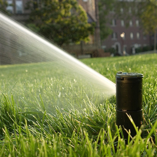 Imagen 2 de 8 de Aspersor Rotor Riego Serie 5000 15mts Rainbird Aquaflex