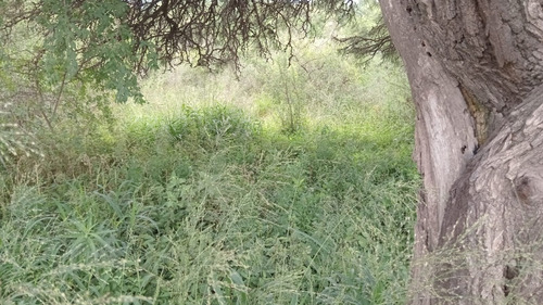 Terreno En Esquina Barrio Valenti