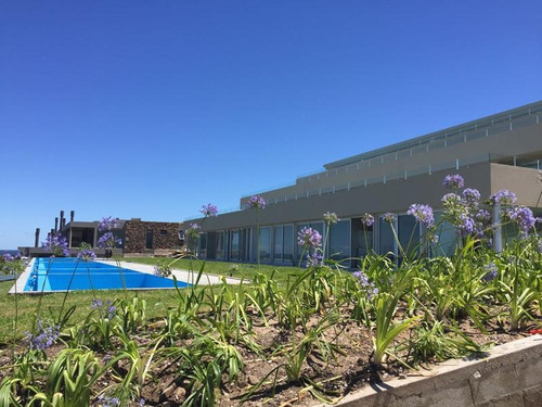 Departamento - Punta Ballena
