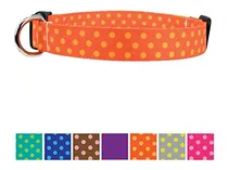 Comprar Collar De Perro Con Botones Y Rayas De Botones - Impresion