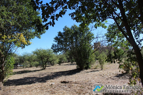 Lote De 1500m2 En Cerro De Oro, Sobre Calle Cuesta De La Granadilla