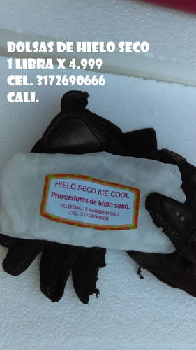 Bolsas De Hielo Seco. Ice Cool. Dry Ice