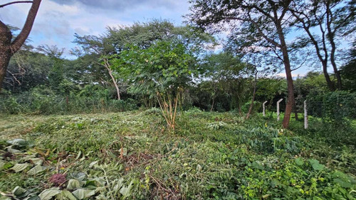 Terreno 556.74 M² - B° Alto La Viña