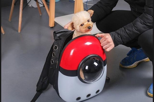 Mochila Transportador De Mascotas Perros Gatos Pokemon
