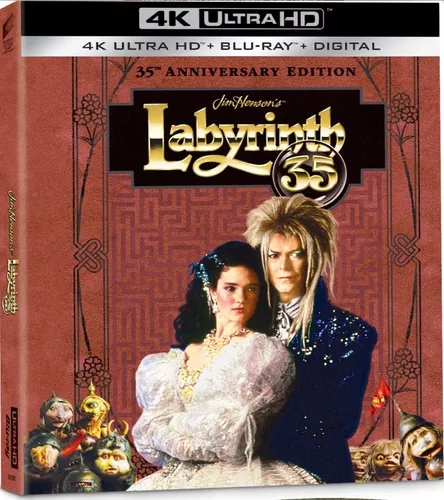 DVD Filme Labirinto - A Magia do Tempo - Semi Novo