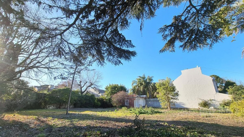 Imagen 9 de 9 de Terreno Lote En Venta En Martinez, Libert./rio, San Isidro