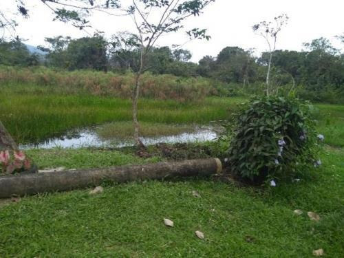 Imagem 3 de 9 de Chácara No Litoral À Venda De 3230 M² - 7283 Lc