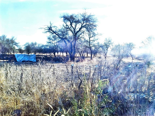 Campo De 593 Has En Puerto Alegre, San Luis