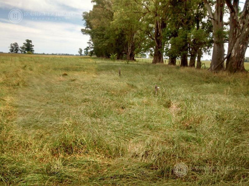 Imagen 16 de 17 de Campo De 53.3ha - Tomas Jofre Única Oportunidad Re - Tasado - Toma Propiedad