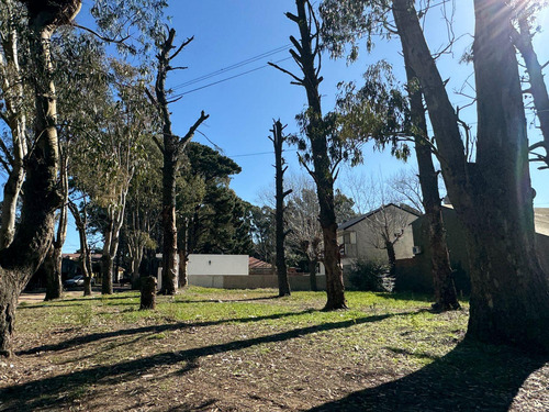 Venta Lote San Bernardo 200 M2 Oportunidad