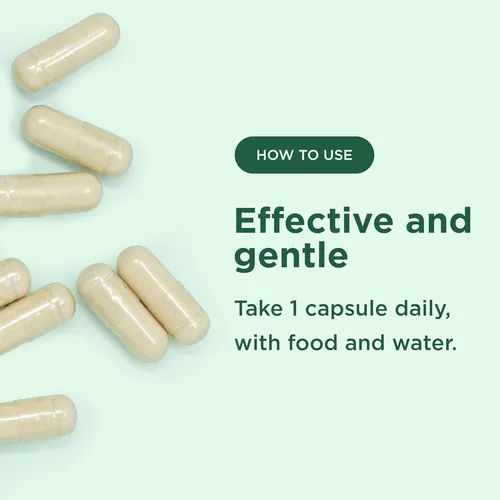 Hierro Quelado Integral 18 Mg Máxima Absorción Salud Corazón Sabor