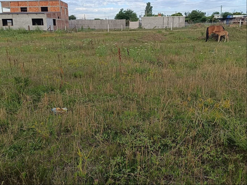 Terreno 25 De Agosto Florida, Límite San José Y Canelones