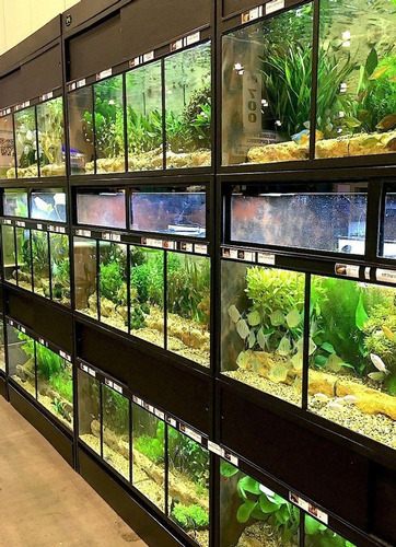 Imagen 9 de 10 de Mini Compresora Para Acuario Resun Aco-012a