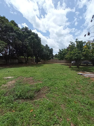 Imagen 4 de 25 de Finca Tinaquillo Terreno Multipropósito En Tinaquillo- Aguirre. Estado Cojedes. T26