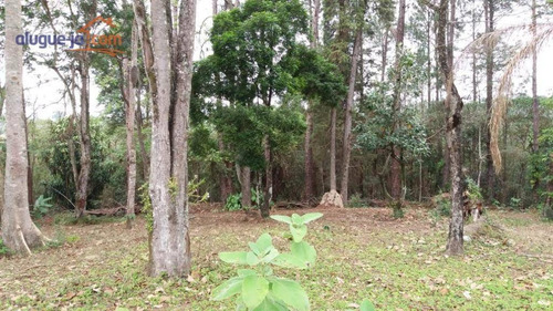 Imagem 3 de 7 de Chácara Com 2 Dormitórios À Venda, 42000 M² Por R$ 4.800.000,00 - Jardim Torrão De Ouro - São José Dos Campos/sp - Ch0225