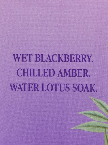 Creme Hidratante Victoria's Secret Blackberry Bite 236ml