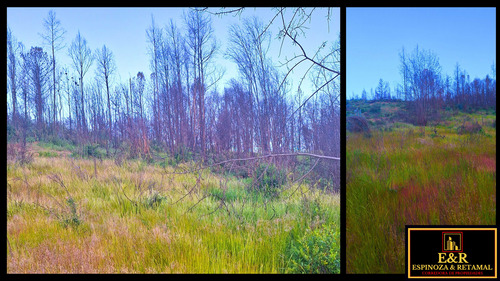 Terreno Sector Las Arenitas , Santa Juana (67674)