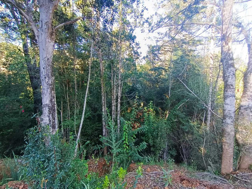Vende Parcela Cond Piedra Blanca , Valdivia (108616)
