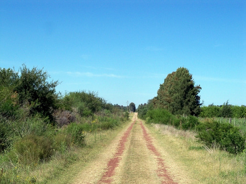 Imagen 10 de 10 de Chacras Venta Carmelo Paraje Colonia Estrella