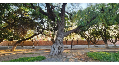 Residencia En Venta Con Ubicación Privilegiada En Querétaro
