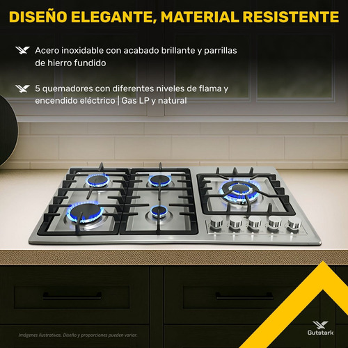 Parrilla Estufa Con Alimentación A Gas 5 Quemadores Gutstark Plata/negro