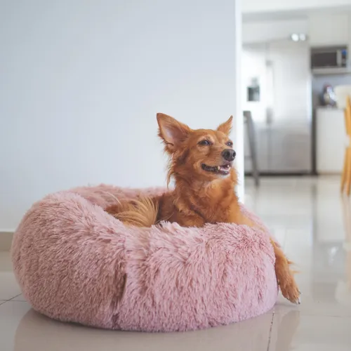 Camas Cuchas Nido Para Perros Y Gatos My Paw Fox Grandes