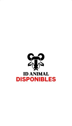 Microchips Id Animal
