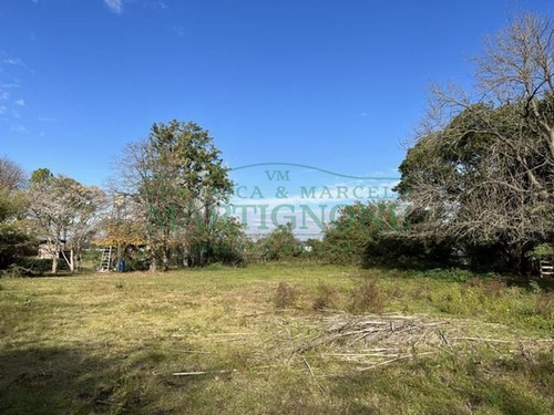 Imagen 3 de 8 de Terreno En Venta En 3216 M2 Fátima Manzanares Pilar