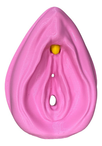 Vulva Y Clitoris Desmontable 3d - Educación Sexual